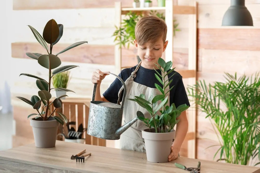 Child watering plants